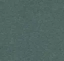 E3907/295