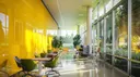 Sunshine Yellow