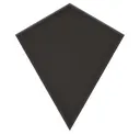 Carbon