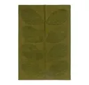 Fern