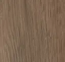 Hazelnut Oak
