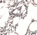 Rubis