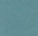Aquatic