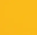 Sunflower Yellow