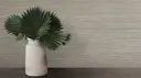 Driftwood