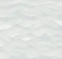 Wave