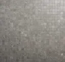 Fossil Gray