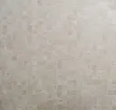 Bone Beige
