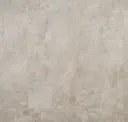 Bone Beige
