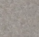 Fossil