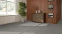 Pewter