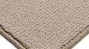 Sesame