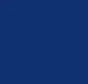 Satin Navy Flower Blue