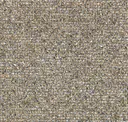 Jute