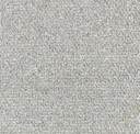 Parchment