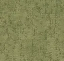 Moss