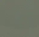 Pewter