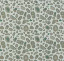 Eucalyptus