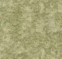 Moss