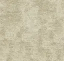 Barley
