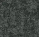 Coal