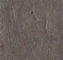 Taupe/gold