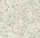 Neutral