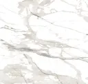 Neutral