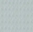Steel