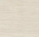 Warm Neutral