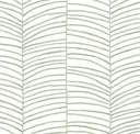 Palm