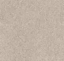 Fossil