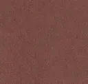 Bronzite