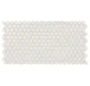 Arctic White