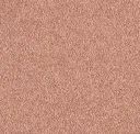 Moroccan Spice
