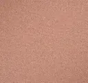 Moroccan Spice