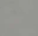 Gull Wind Gray