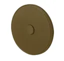 Anodic Bronze