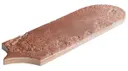 Canyon Brown