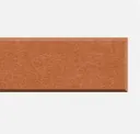 Cinnamon
