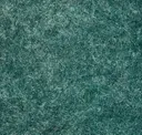 Turtle Green