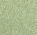 Spearmint Green