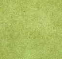 Pistachio Green