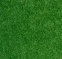 Grass Green