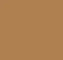 Caramel (ral8001)