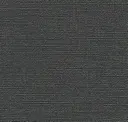 Obsidian Veil