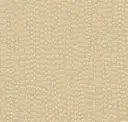 Pale Umber