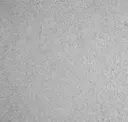 Fresh Concrete Sense