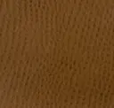 Ochre