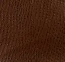 Outback
